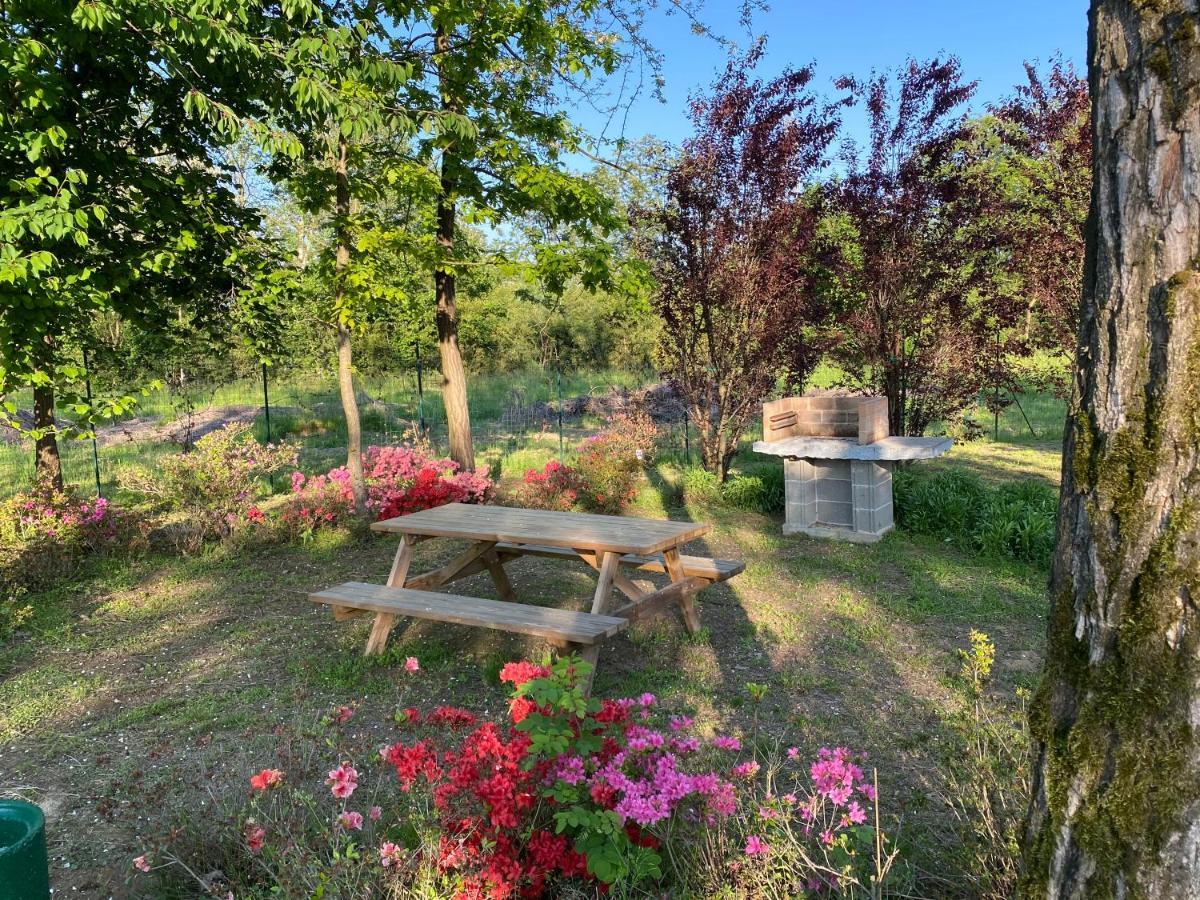 Oasilandia Bed and Breakfast Dorno Εξωτερικό φωτογραφία