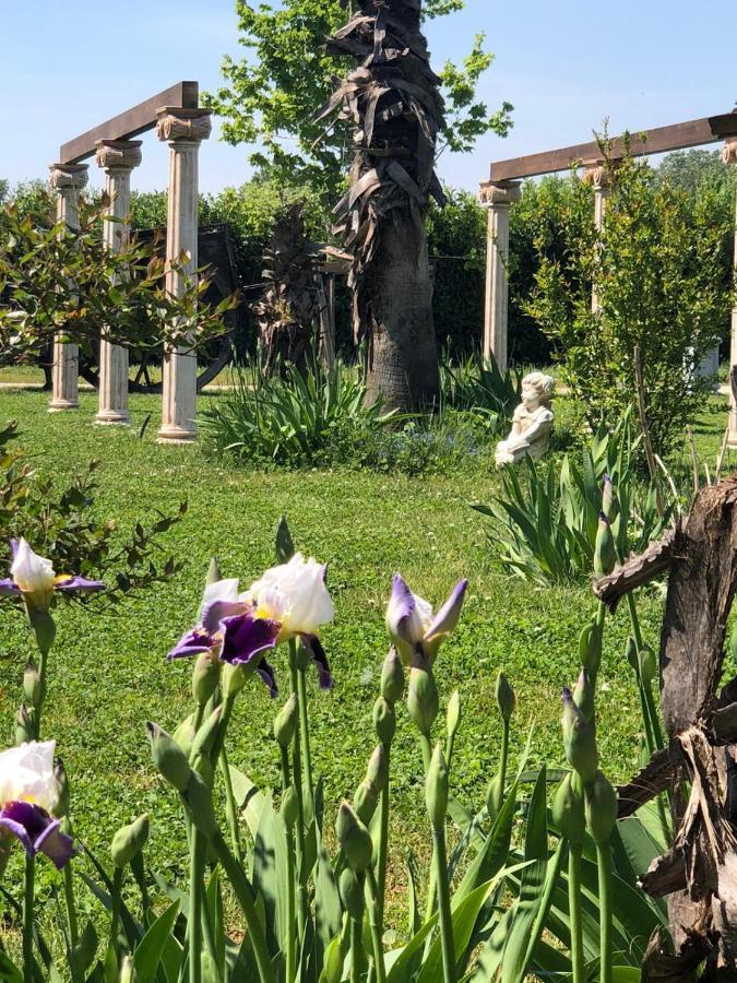 Oasilandia Bed and Breakfast Dorno Εξωτερικό φωτογραφία