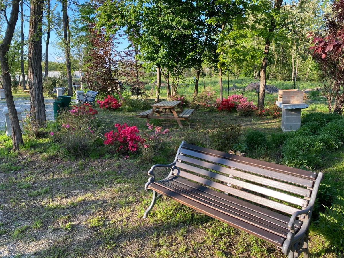 Oasilandia Bed and Breakfast Dorno Εξωτερικό φωτογραφία
